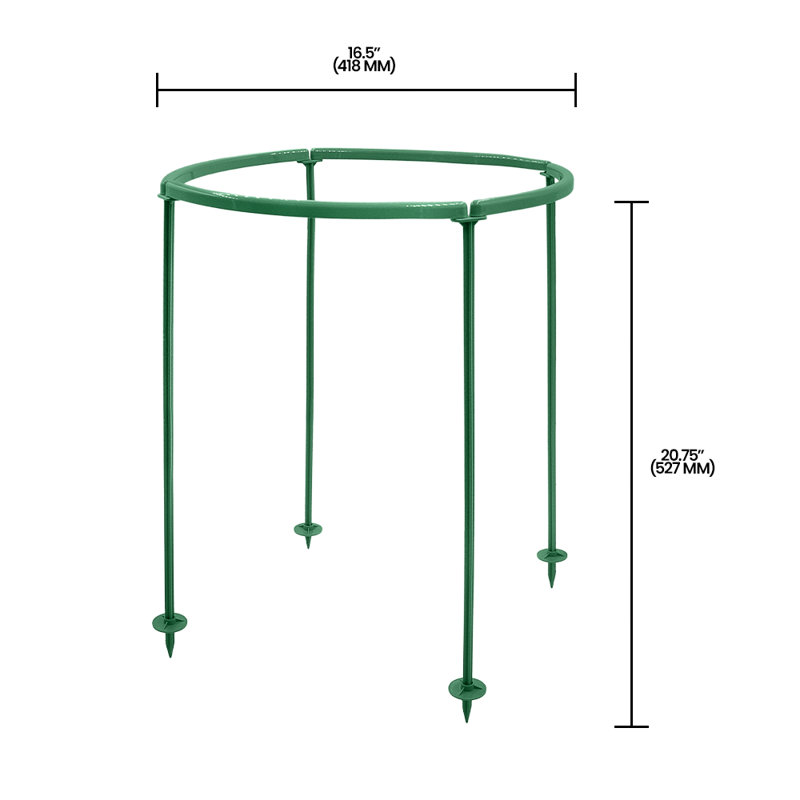 Gvantsa Plant Support