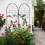 4 Pack Metal Garden Trellis