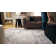 Hogan Oriental Area Rug