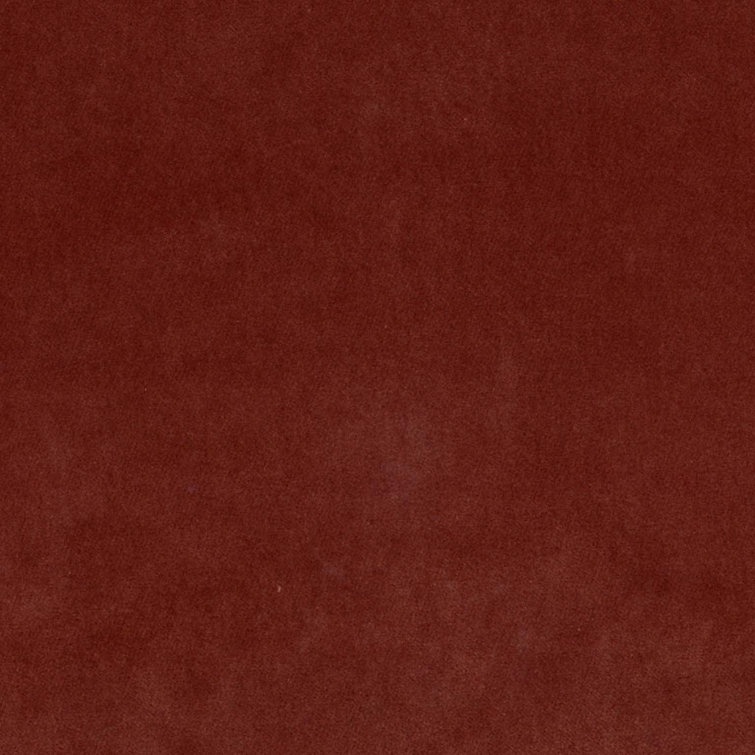F1284-ZINN Échantillon
