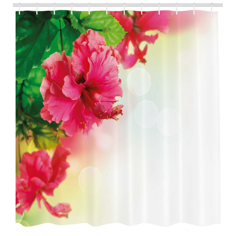 Shower Curtain Set + Hooks, 70" H x 69" W