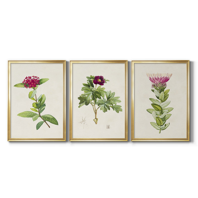 «Pretty Pink Botanicals II» - Toile tendue avec châssis sur mesure - 3 pièces, H 15 po x l 19 po, Doré