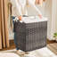 Laundry Sorter with Handles-1296033067