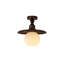 Glass Semi Flush Mount