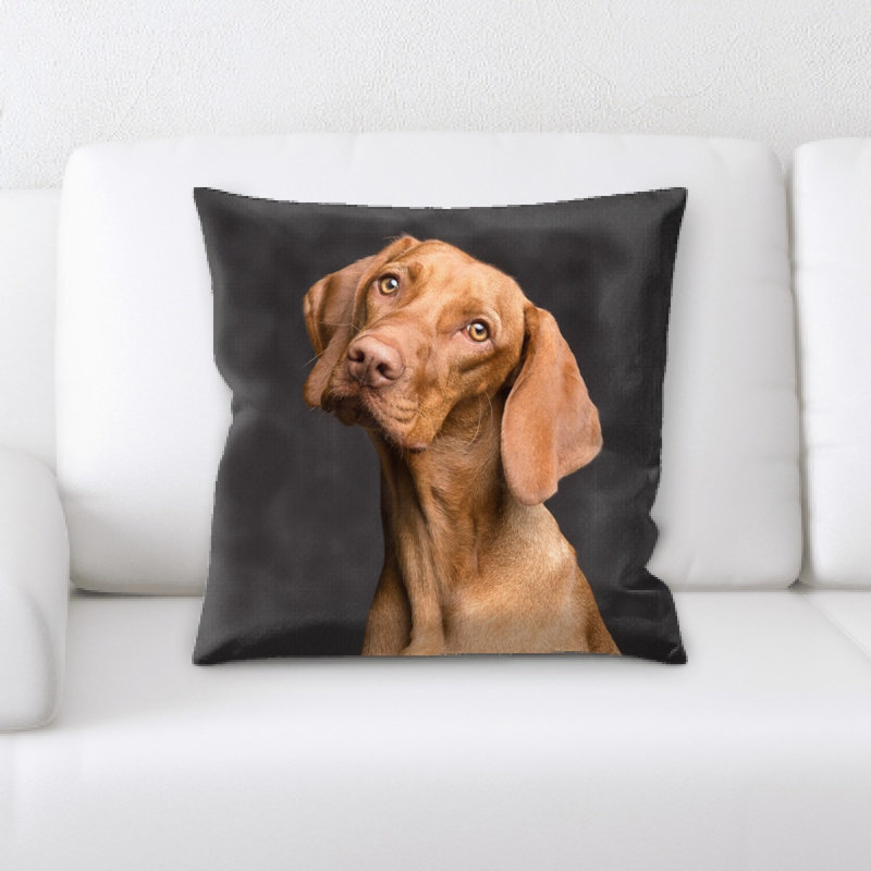 Microsuede Throw Pillow