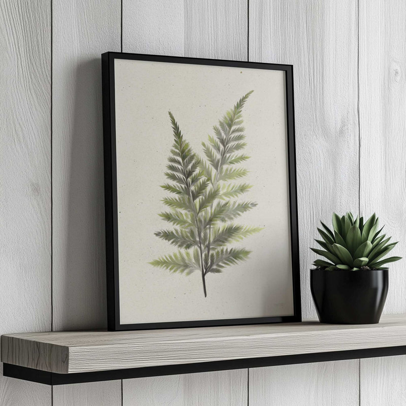 «Soft Fern» par House Fenway, reproduction d'art, L 12 po x H 16 po, Brun, Impression encadrée