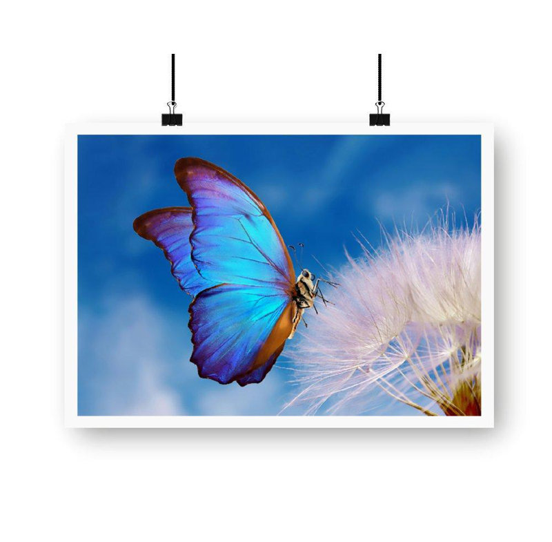 No Frame Print, A2 Art Print