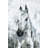 " Horse Portrait " Painting Print-1036645189