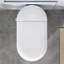 Smart Toilet With Bidet, Foot Kick Lid Opening, Heated Seat, Instant Hot Water, Warm Air Drying, Led Night , 12" Rough - In, Power Outage Flush, Remote Control Built In Operation, 3 Second Heating, 4