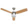 Dorne 108cm Ceiling Fan with LED Lights