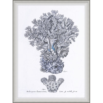Cultivated Antiquity 2 Framed Print