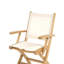 St. Tropez Outdoor Teak Dining Armchair-1471585886