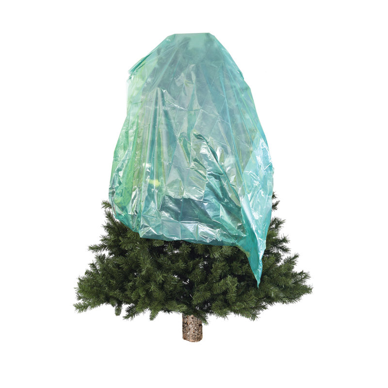 Rangement des fêtes