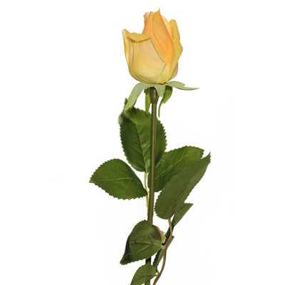 Arrangement