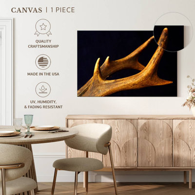 Brampt Deer Antlers