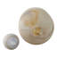 Bouteille en verre Nilda Sutton-748287402-748287400