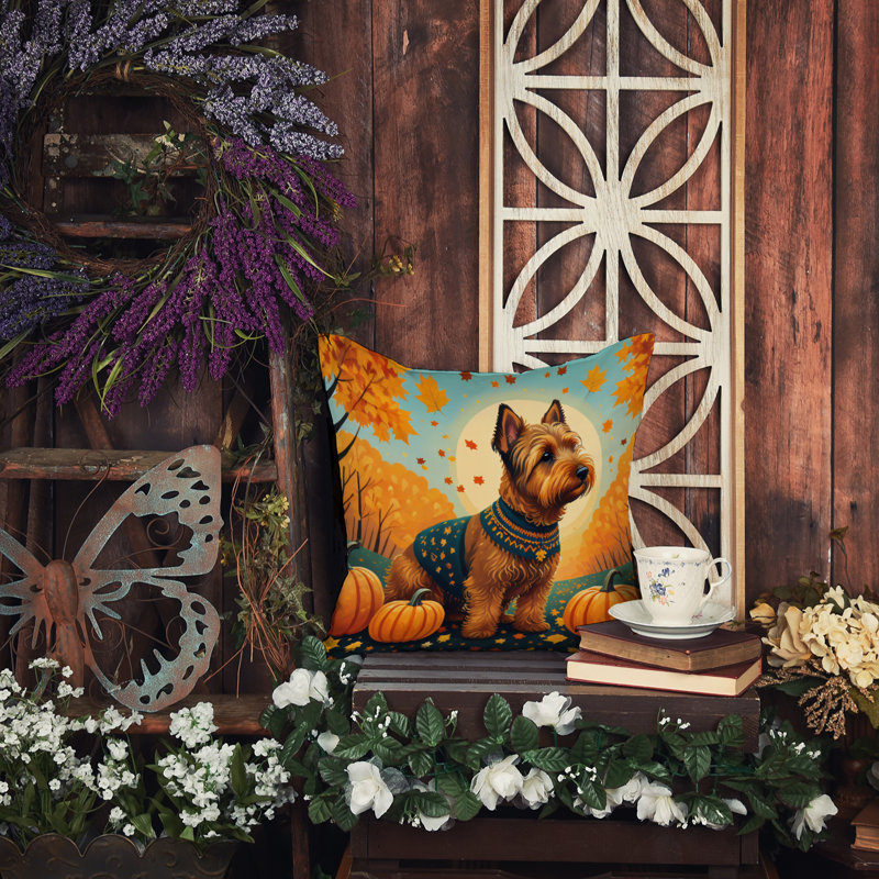  Coussin décoratif Autre / Sans motif, 14 po x 14 po