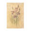 Art sur toile «bolis Cheri Blum»-105629515