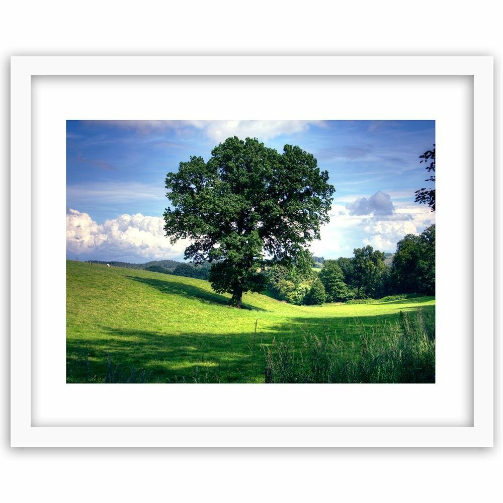 Gerahmter Fotodruck Baum auf Wiese 3