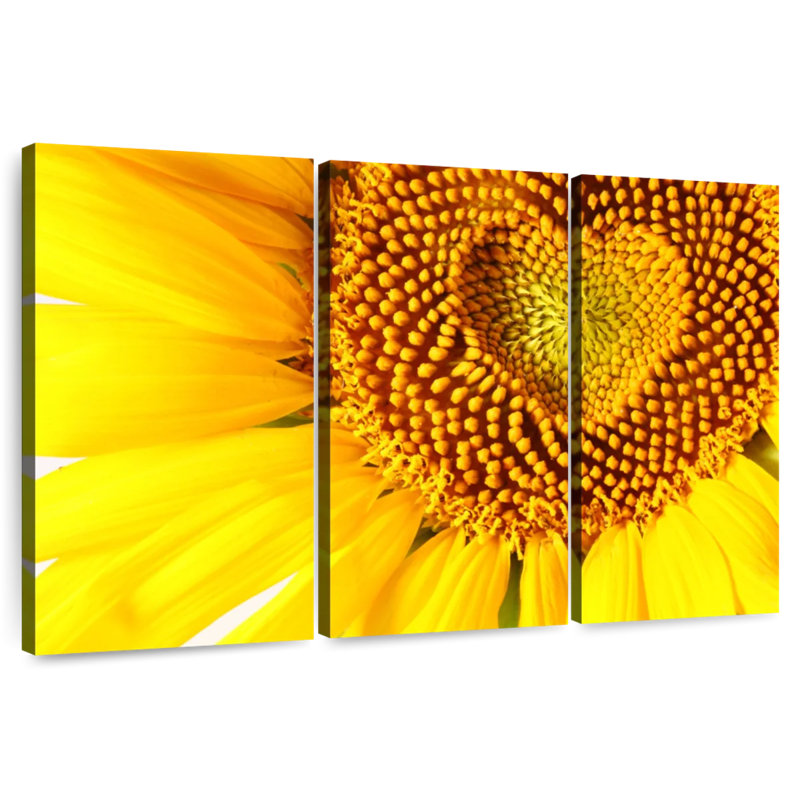 Harnek cœur de tournesol, H 32 po x l 50 po