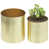 Brass