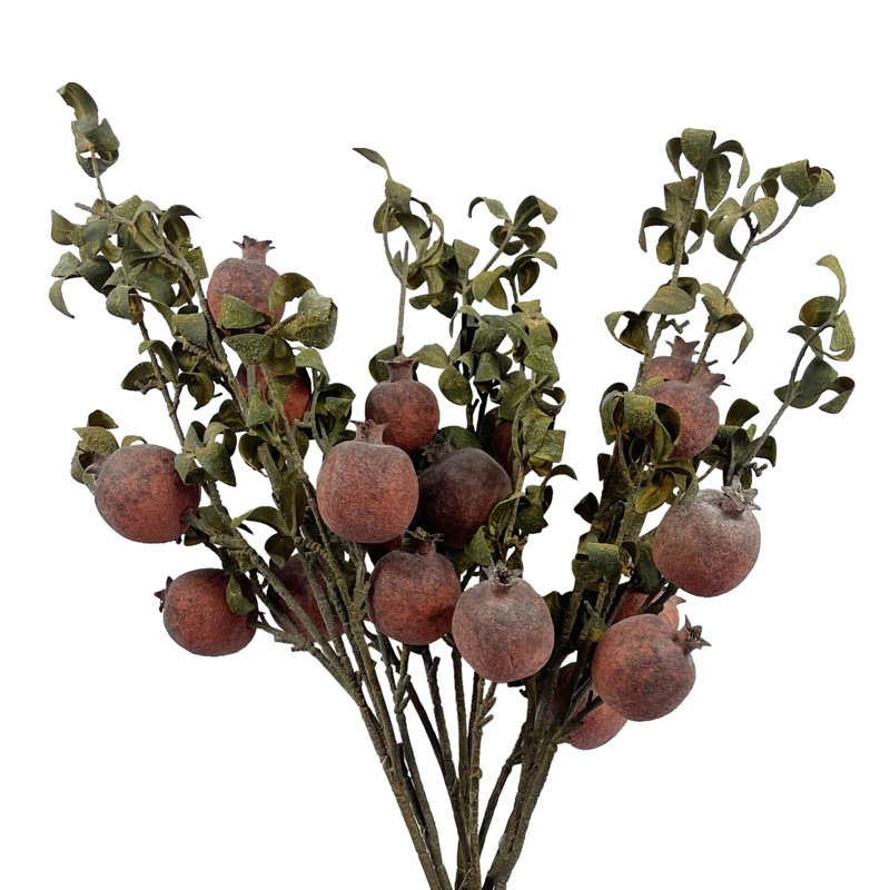 Antiqua Arrangement