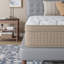 Matelas hybride en mousse de refroidissement de qualité moyenne-215285839-211093943