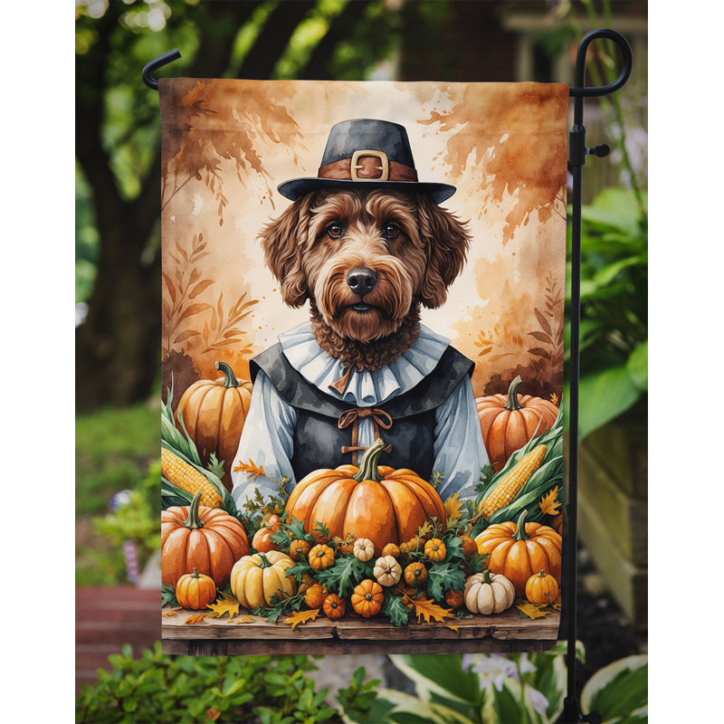 Drapeau du jardin de l'Action de grâce, Chocolat Labradoodle