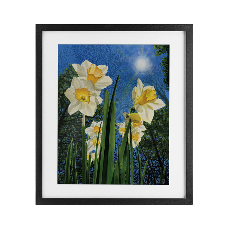 «Daffodils Under The Sun», reproduction sous verre encadrée, design par Ann Jasperson, H 21 po x l 17 po, Cadre noir minuit