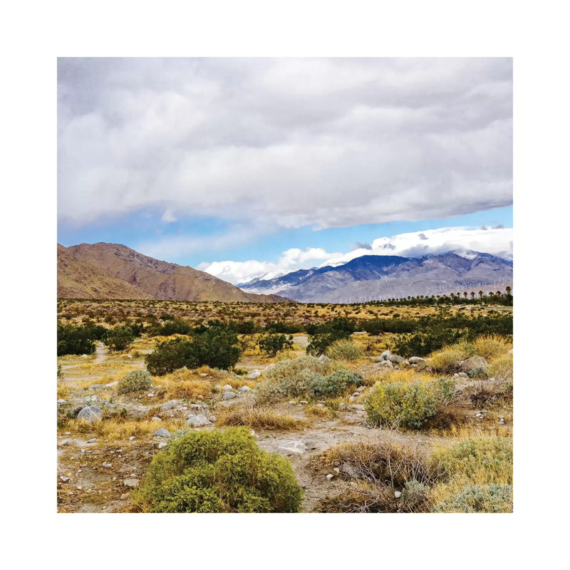 Palm Springs View par Bethany Young - Estampe numérique sur toile tendue avec châssis, H 12 po x l 12 po x P 0,75 po