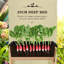 Planter