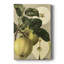 «Apple Harvest I», impression sur toile tendue-1891440336