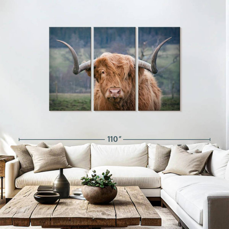 Brampt Wooly Highland Cow, H 48 po x l 74 po