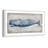 " Blue Whale "-101124580-101124588