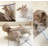 Cat Step For Flat Wall