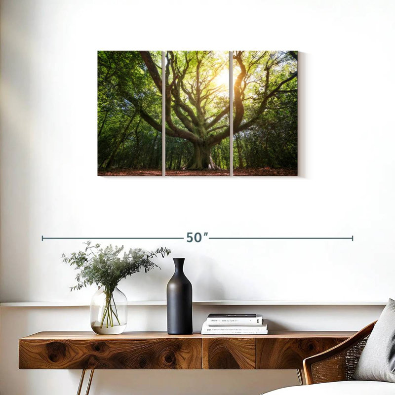 Grand vieux hêtre Harnek Broceliande, H 20 po x l 33 po