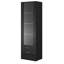 Sabala 75.50" H x 23.6" W Standard Bookcase-1737260790