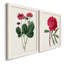 Toile encadrée rosée Blooms II-59823596-59823597-59986633
