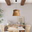 1 LED Dome Pendant