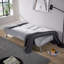 Farhat 2 Seater Fabric Sleeper