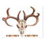 « real cerf antler », impression-29496464-35114479