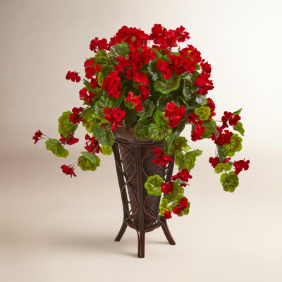 Geranium Floral Arrangement