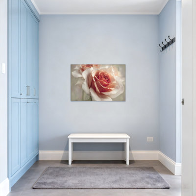 Plants & Flowers Soft Peach Rose Close Up Canvas Print Z251224084240944472