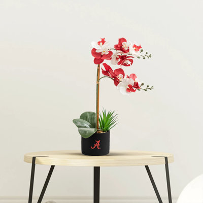 20.4 " Silk Orchid Arrangement