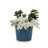 3 Pieces Ceramic Flowerpot, Modern Planter for Patio, Garden or Windowsills-1284107417