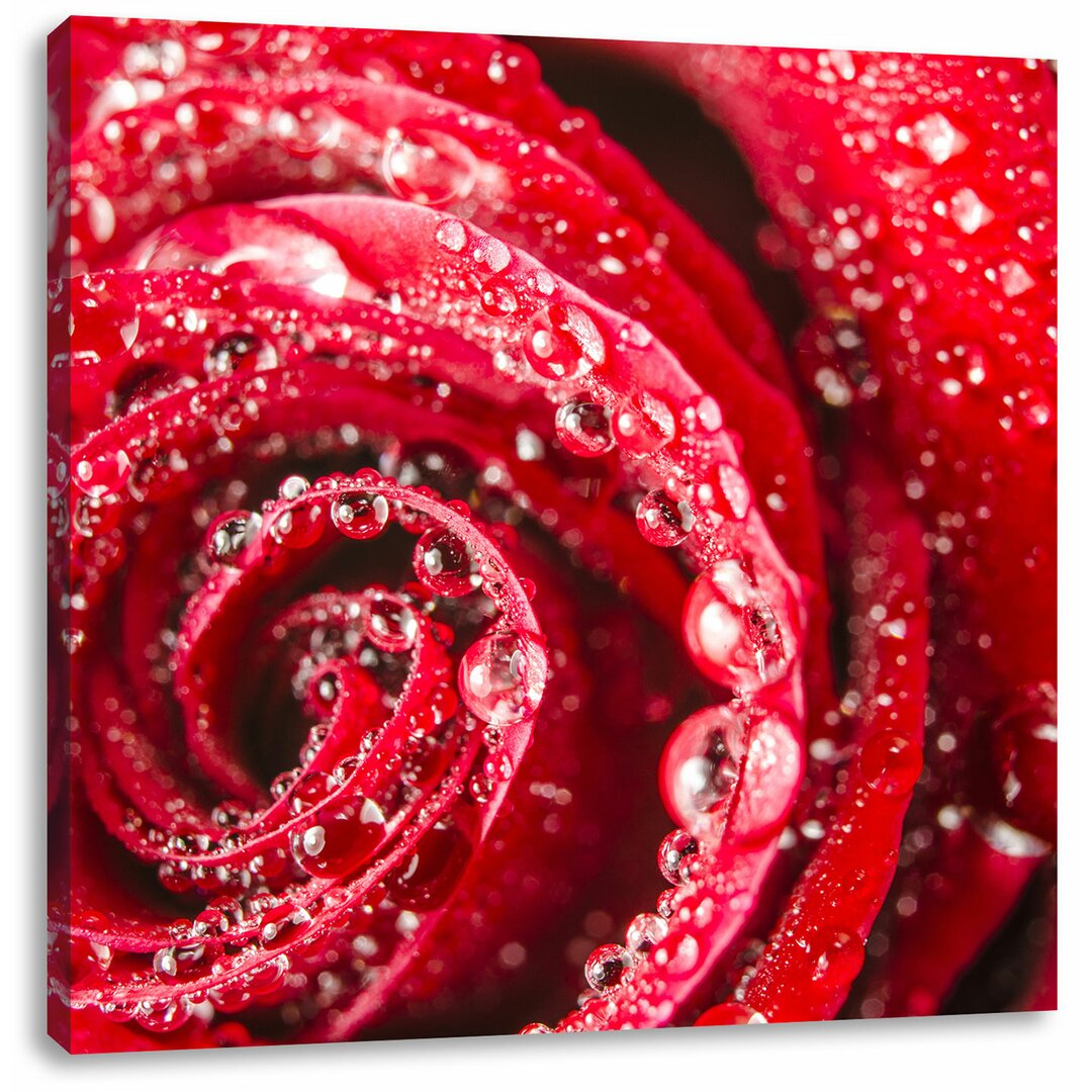 Leinwandbild Elegante rote Rose mit Wassertropfen