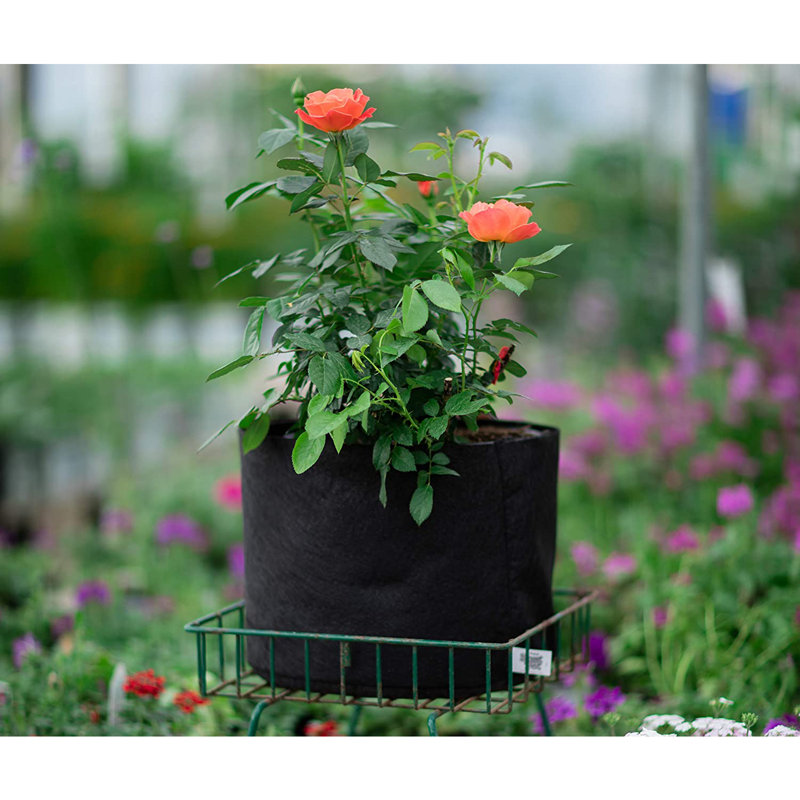 Hydrofarm Growing Kit Fruits / Vegetables