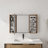 Bathroom Mirror Cabinet with Storage Combination