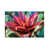 Wrapped Canvas selected