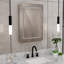 Brilliance 28 in. H x 20 in. W Rectangular Light-up Mirror